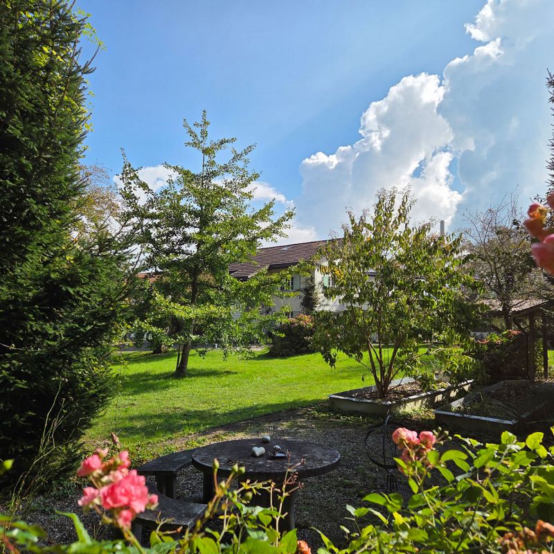 5.5-Zimmer Wohnung Bollingen