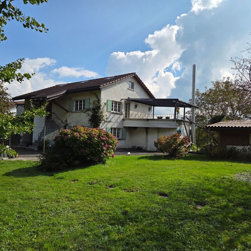 5.5-Zimmer Wohnung Bollingen