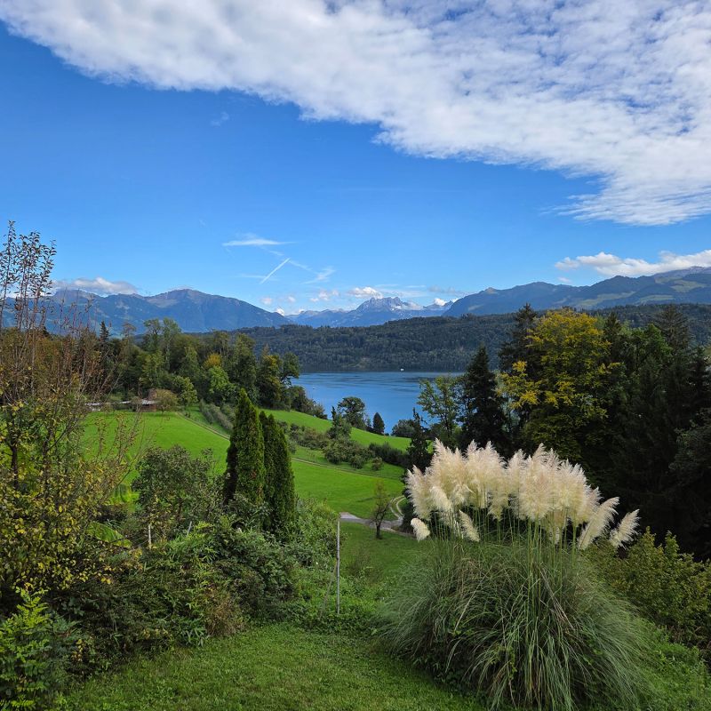 Aussicht auf See und Berge